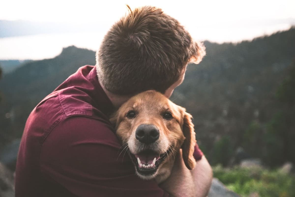 eric-ward-ISg37AI2A-s-unsplash-1