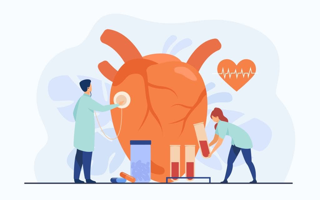 Cardiologists examining heart with stethoscope