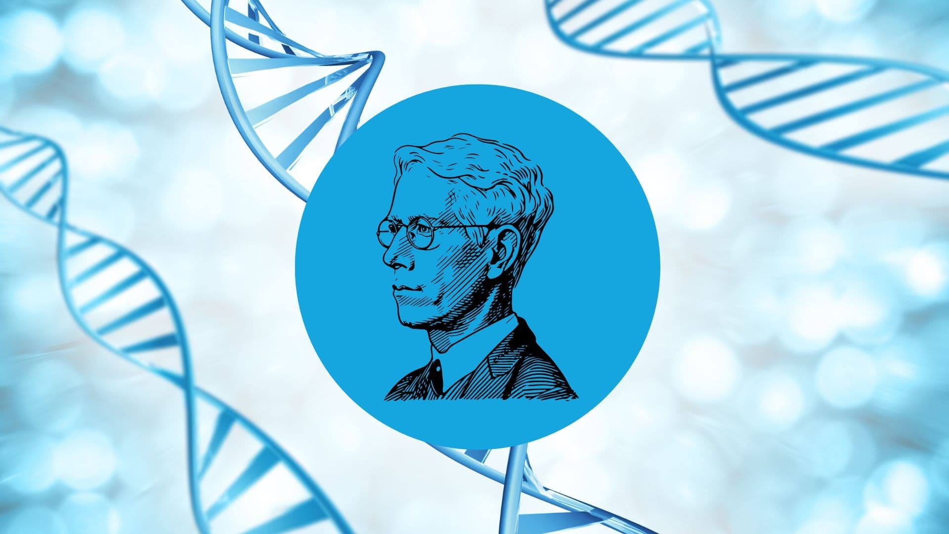 USMLE Step 1 – Genetics and the Hardy Weinberg equation
