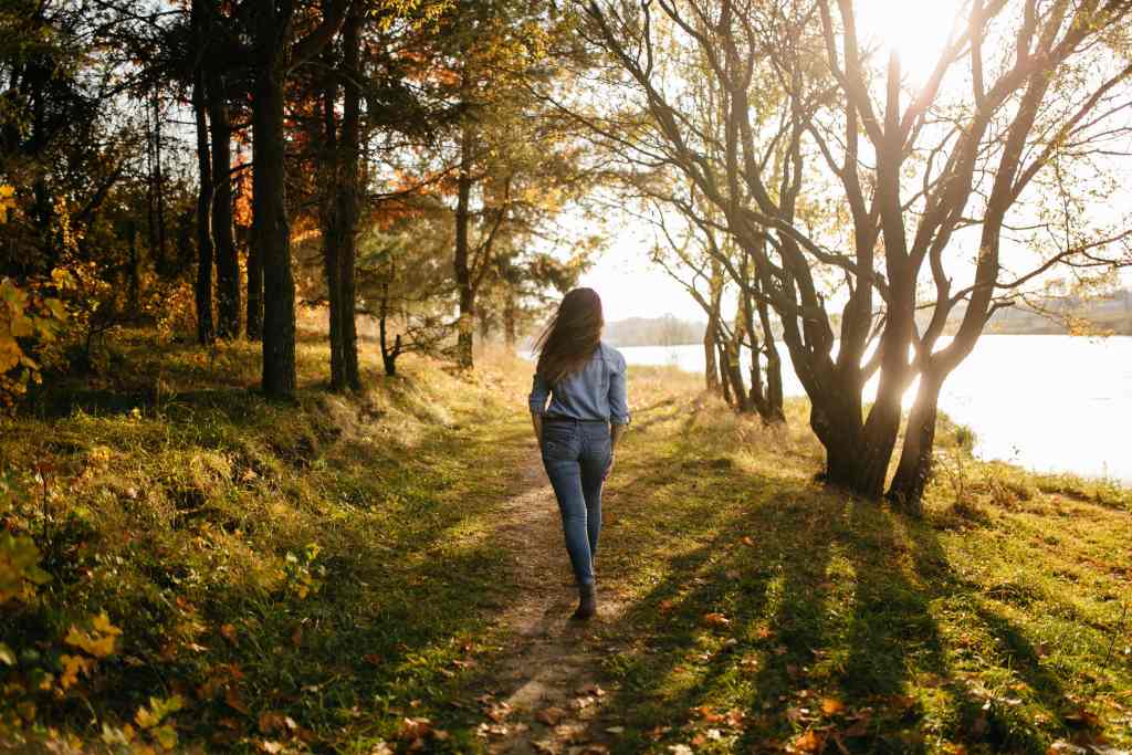 Young couple in love. A love story in the autumn forest park get walking with this 12-week walking schedule