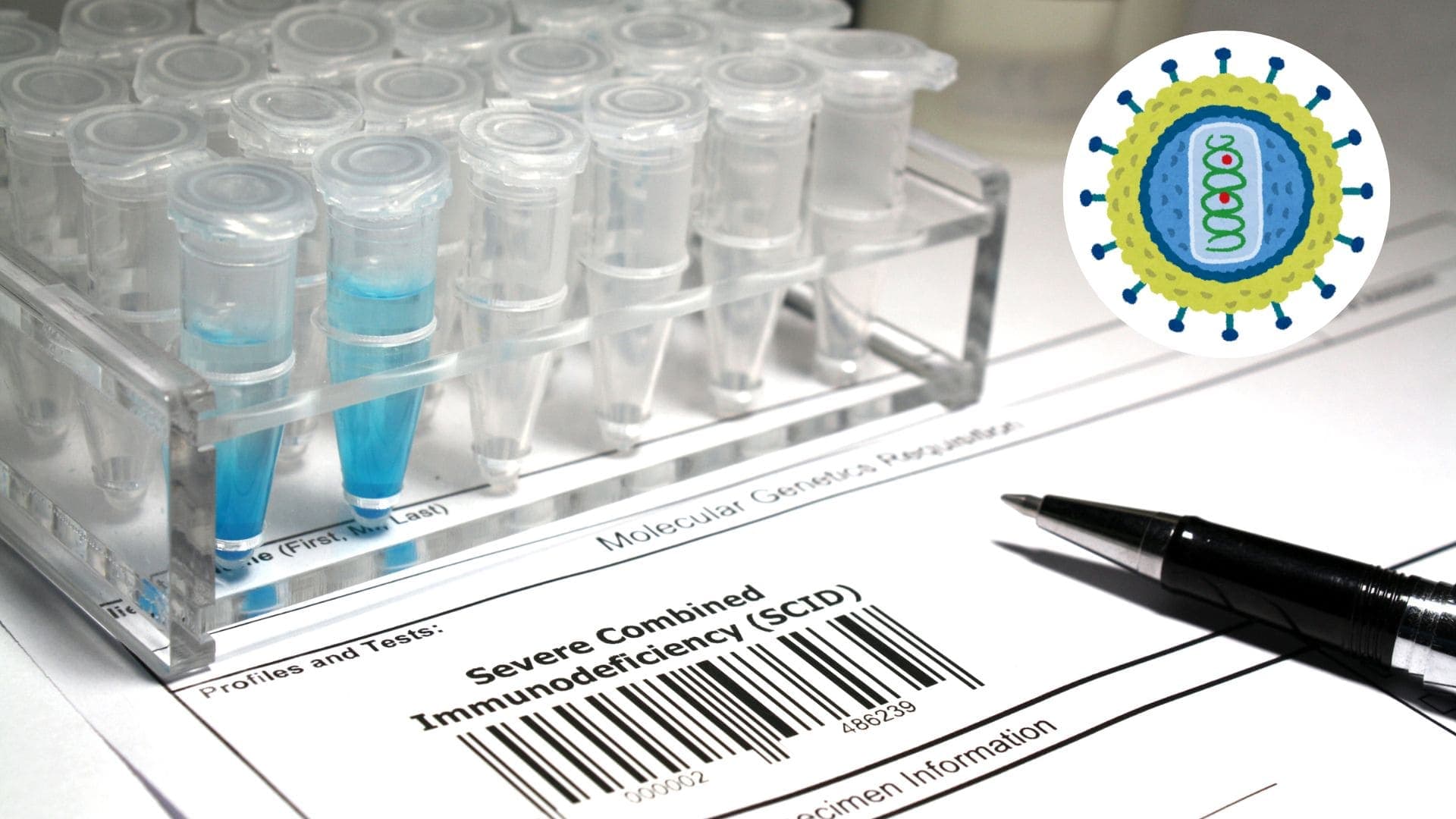 Understanding immunodeficiency diseases on the USMLE Step 1 exam