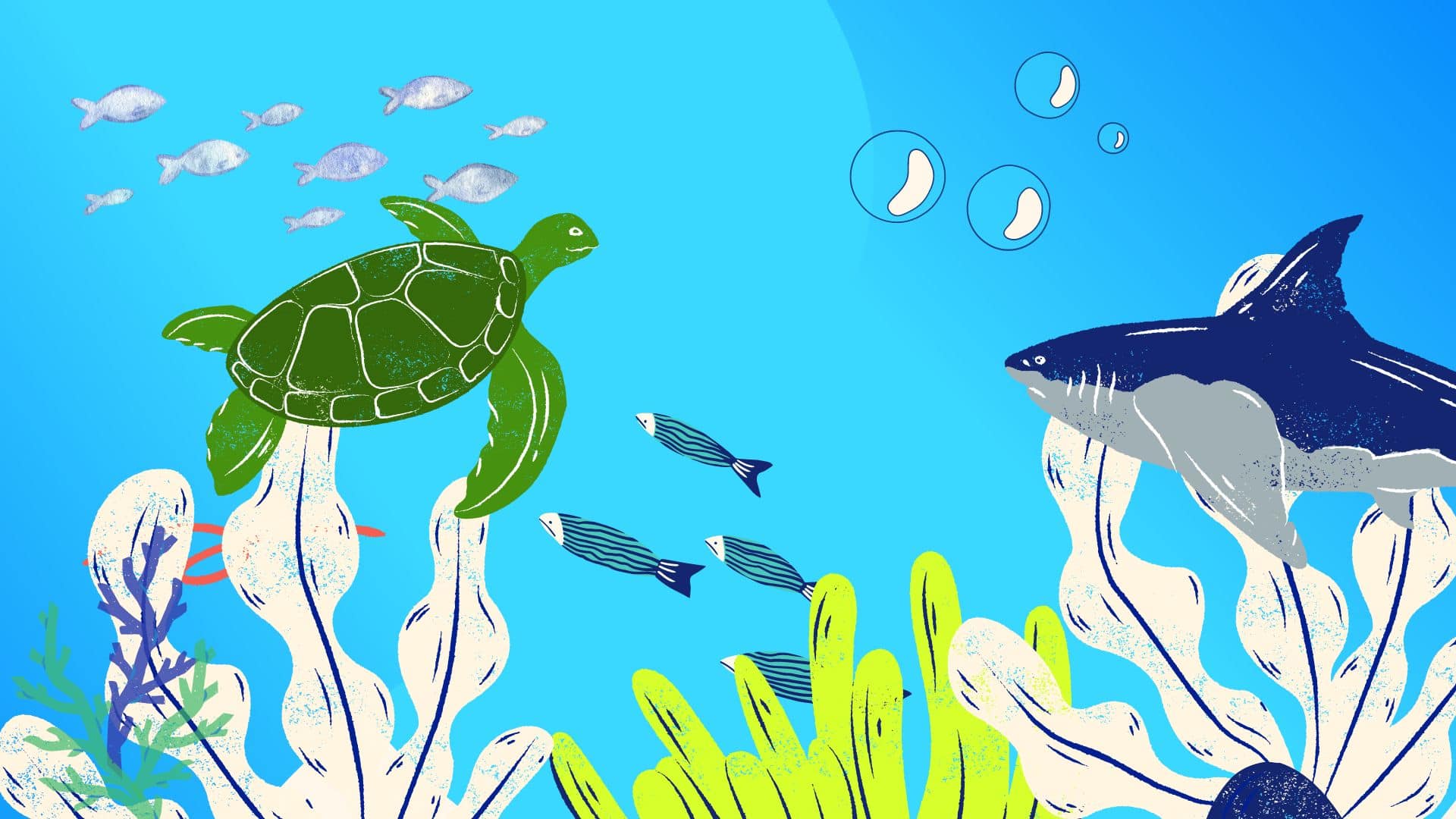 The 8 best colleges for marine biology