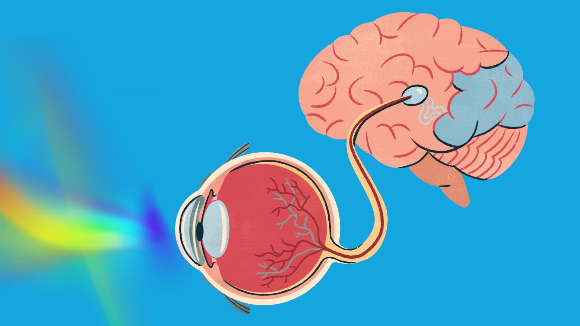 Convergence insufficiency (CI) – symptoms, causes, and treatments