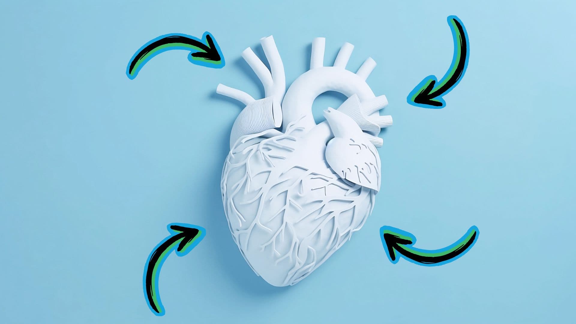 USMLE Step 1: Aorta and branches