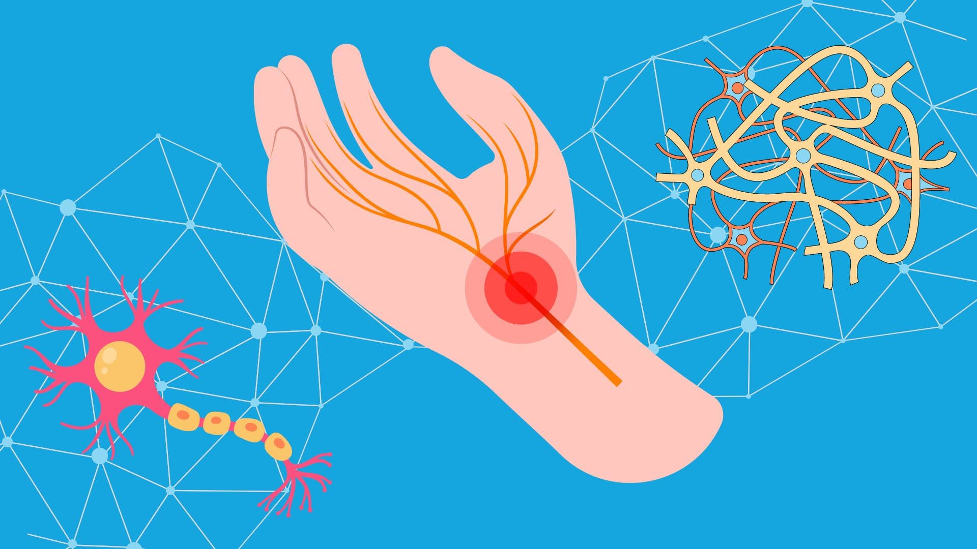 USMLE Step 1: Nerve Lesions