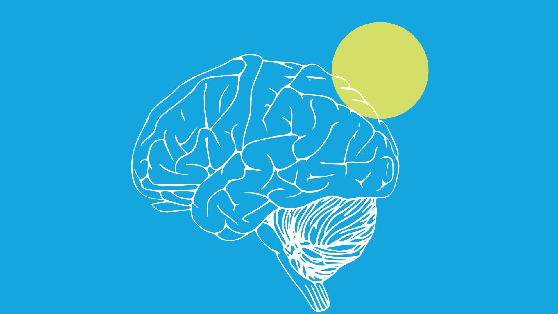 Understanding brain aneurysms: prevalence, costs, and the importance of early diagnosis